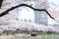 https://images.plurk.com/6zBmNiMt8ivdSyUcGkzrY1.jpg