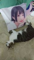 https://images.plurk.com/6zGBAMg1xpW8JbHhlVEnE9.jpg