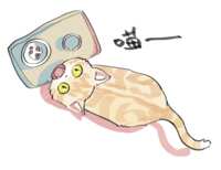 https://images.plurk.com/6zL2OycuKXSFb7xGaTS6IN.png