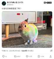 https://images.plurk.com/6zNSxsxWmIm1J5S9AgN526.jpg