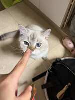 https://images.plurk.com/6zP1aTaVA3Ai0LCcD32fBX.jpg