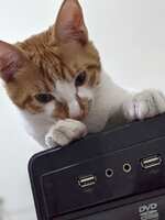 https://images.plurk.com/6zPt8daS4dWwk6YN7G7ZYV.png