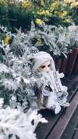 https://images.plurk.com/6zRg8HaXkfsNO9GkwSqZD2.jpg