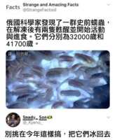 https://images.plurk.com/6zcZ5d6DH3KzBSdkFMI6kh.png