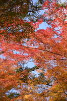 https://images.plurk.com/6zhpq2uxL04eyMQDv9BlLF.jpg