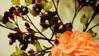 https://images.plurk.com/6zrXvHestd5fSAkif55KGP.jpg