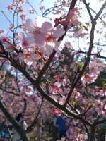 https://images.plurk.com/6zsST7HSBDrBoKdew8GL8G.jpg