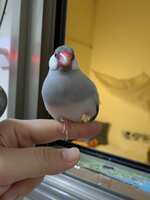 https://images.plurk.com/6zyWsHTCwvEHGG3lsq03QL.jpg