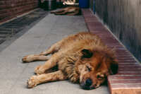 https://images.plurk.com/6zzCzOTAlFI0OW0i0q8DfE.jpg