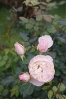 https://images.plurk.com/6zzjxP4EBmwy0S2YYXP8bg.jpg