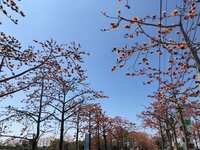 https://images.plurk.com/708bOm6pVLahu8kaA5IBbp.jpg