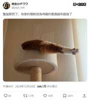 https://images.plurk.com/70Ii9T8mb9ks8EC79RQZKC.jpg