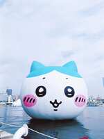 https://images.plurk.com/70JG3uSXyg87XlTIsxsKX2.jpg