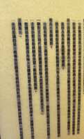 https://images.plurk.com/70KEU4cgcbfBraQMhRuEWZ.jpg