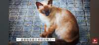 https://images.plurk.com/70QHPmcLOf9bE3yUbUjIme.jpg