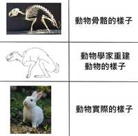 https://images.plurk.com/70SEjqmeGY7SdbUstdMuTc.png