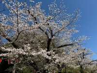 https://images.plurk.com/70WabsebJ1J9o67snDDJOv.jpg