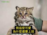 https://images.plurk.com/70dOUlsEy4HXzAvNIGPkzN.jpg