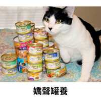 https://images.plurk.com/70fATt195MMOjyGlR2Yo9i.png