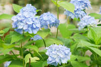 https://images.plurk.com/70fMeJtkvJnagNUyl19sQB.jpg