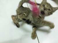 https://images.plurk.com/70iWsC1qjWrXhBQR4GsHOy.jpg