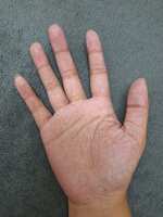 https://images.plurk.com/70ozOpzQvq6CKOZI4JGme5.jpg