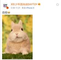 https://images.plurk.com/70qu2RUtxG0iIc5Lruvsts.jpg