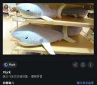 https://images.plurk.com/70u5OS86BSuNCk8LOa2m93.png