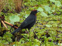 https://images.plurk.com/70zB2rGKiNsK09FFkCGDRB.jpg