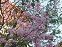https://images.plurk.com/71Bx6LfBXCk6u8nUiUVzdL.jpg