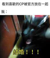 https://images.plurk.com/71HONN6aL7RcnChPkrkIlm.jpg