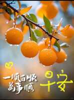 https://images.plurk.com/71KJnCckWxjmsCskZ4oOpW.jpg