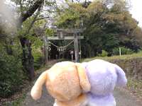 https://images.plurk.com/71VkZgDMx7SAzarjDzDr4P.jpg