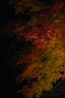 https://images.plurk.com/71Zkp3V79KeS688aIptaQS.jpg