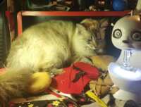 https://images.plurk.com/71c0nuVGccJmtbPDwz0whK.png