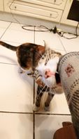 https://images.plurk.com/71g0F3Sa7cslamftKvWIQ6.jpg