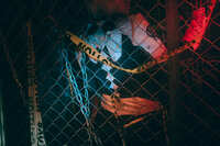 https://images.plurk.com/71nXDYK4dEkqTLact6pP96.jpg