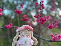 https://images.plurk.com/71vQP7tUwihYuITj2nXr01.jpg