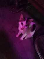 https://images.plurk.com/724KW9VmzBasAqXWFed0pB.jpg