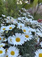 https://images.plurk.com/726Gwj6KgPgy1a20cXZ3rz.jpg