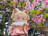 https://images.plurk.com/726kb3wX3wA9lEWsMakmg3.jpg