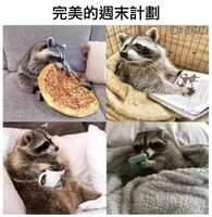 https://images.plurk.com/72BHNb9qUoHO4ONmM86ib0.jpg