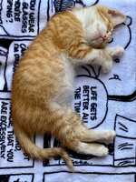 https://images.plurk.com/72TDBQG4thApvuOwoqshR9.jpg
