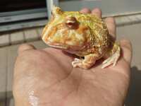 https://images.plurk.com/72UxaO6muV84ijPgThXRu.jpg