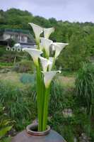 https://images.plurk.com/72Y1mJVdfFPQt3vGVsvgub.jpg