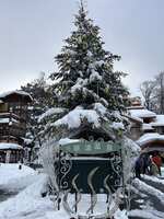 https://images.plurk.com/72f2ZIf7N8UZC1TVmqQczd.jpg