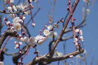 https://images.plurk.com/72pWjOQ2XcZ8n0Hm5M84Sp.jpg