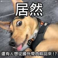 https://images.plurk.com/732m7sMfOQ4nzpnwRiuhL6.jpg