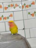 https://images.plurk.com/738Vixtht04fEhScGxUj0B.jpg