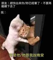 https://images.plurk.com/73BXwmNw22FVduLBe2wvbI.jpg